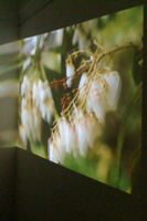 bild:  ausklang am fleet - exhibition view